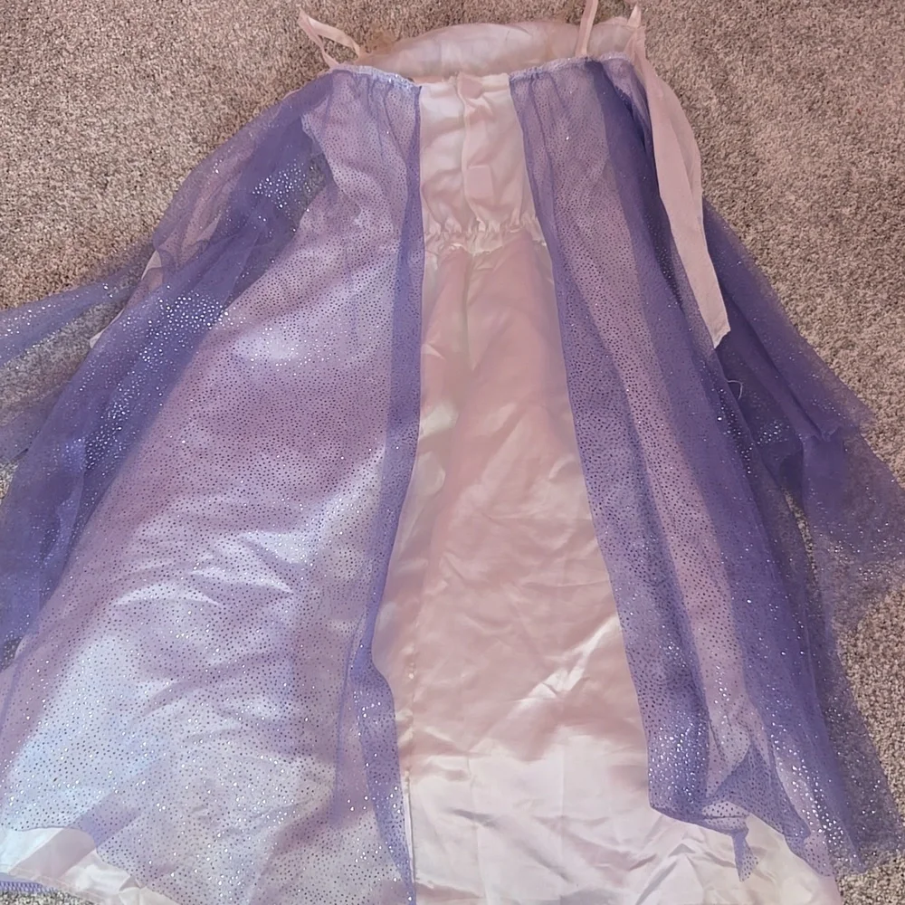 Disney princess costume